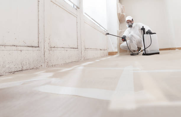24/7 Emergency Commercial Mold Remediation experts in Alum Bank, PA