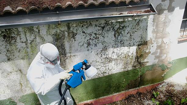 Top rated local Commercial Mold Remediation specialists in Alum Bank, PA